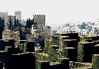 alhambra-24.jpg