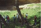 FiestaDeLaPrimavera1.jpg