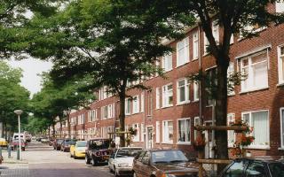 Rotterdam Zuid